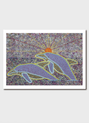 Dolphins at Sunrise  Print - Oral James Roberts