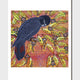 Red Tailed Black Cockatoo  Print - Oral James Roberts