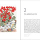 Book of Garden Flowers