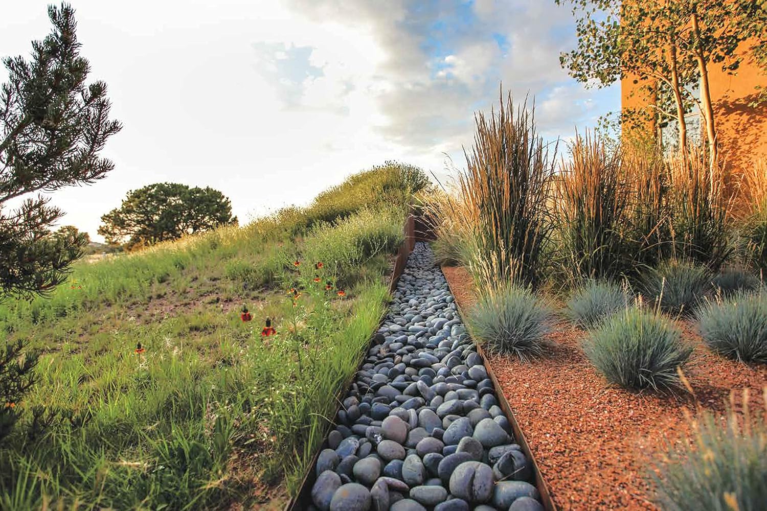 Beyond the Garden: Designing Home Landscapes with Natural Systems