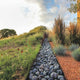 Beyond the Garden: Designing Home Landscapes with Natural Systems