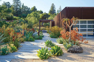 Beyond the Garden: Designing Home Landscapes with Natural Systems