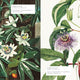 Biblioflora: A Celebration of Floral Beauty in Botanical Art