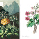 Biblioflora: A Celebration of Floral Beauty in Botanical Art