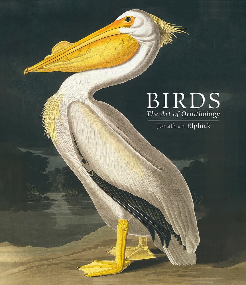 Birds: The Art of Ornithology