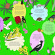 Birds, Blooms & Bugs