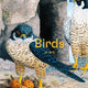 Birds in Art