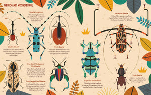 Bonkers About Beetles