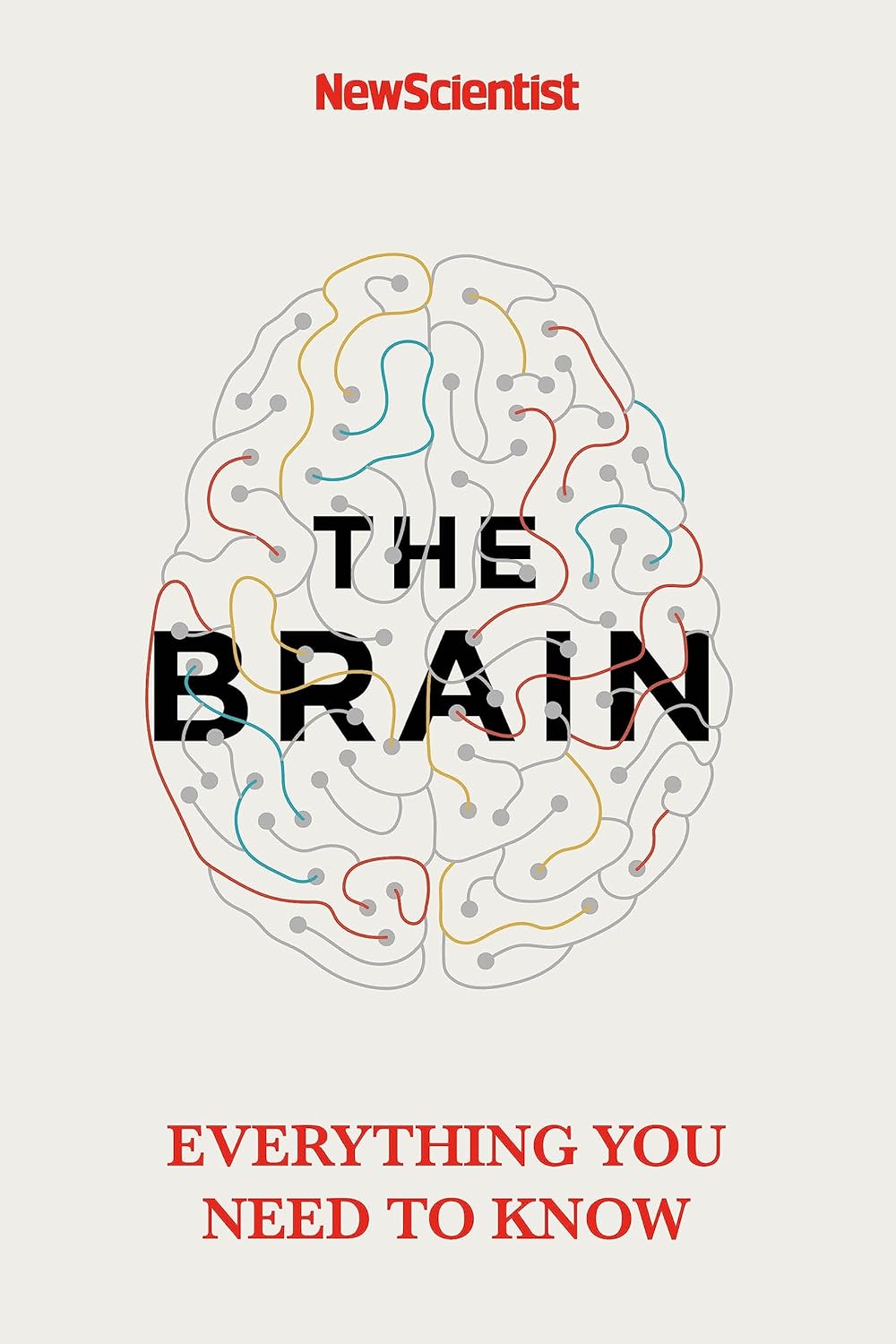 Brain: Everything You Need to Know