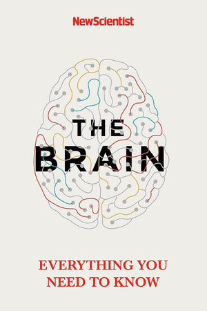 Brain: Everything You Need to Know