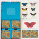Brilliant Butterflies Matching Game