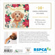Christmas Card Wallet - RSPCA - Christmas Dog