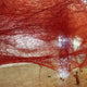 Chiharu Shiota