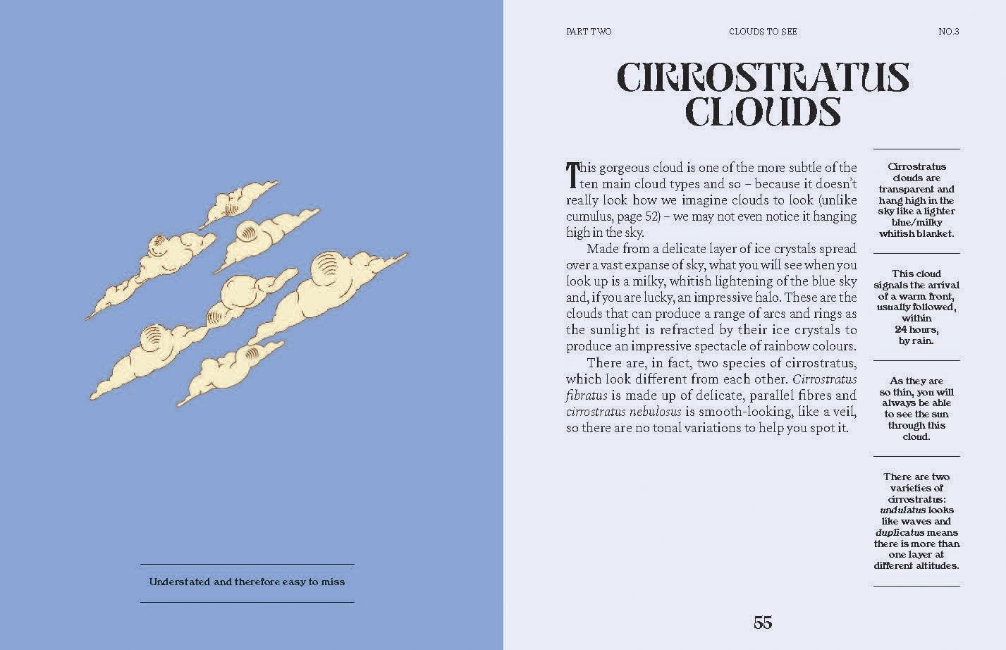 Clouds: A Guide for the Curious