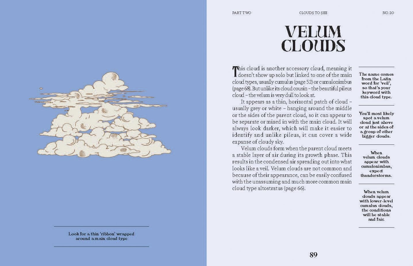 Clouds: A Guide for the Curious