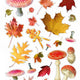 Collage Kit: A Cut and Create Book