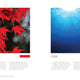 Complete Colour Harmony Deluxe Edition