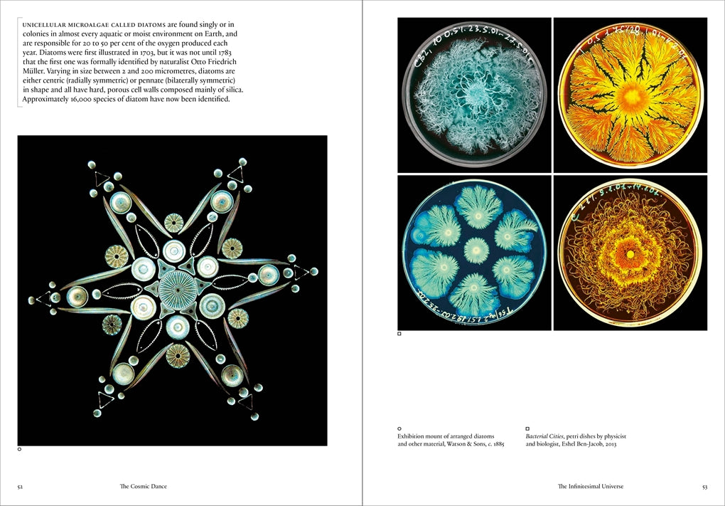 Cosmic Dance: Finding Patterns and Pathways in a Chaotic Universe