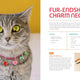 Crafting for Your Cat