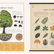 Curiositree: Natural World
