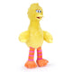 Big Bird Medium 30cm Plush Toy