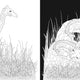 Day & Night Colouring Book