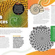 Numbers in Nature: Deadly Science
