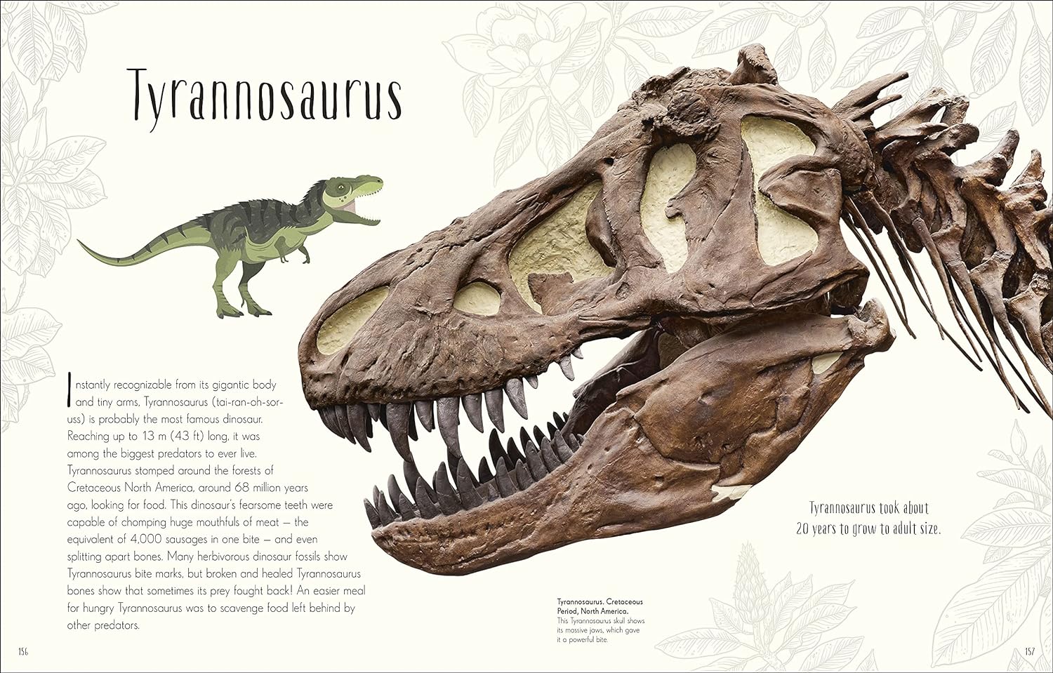 Dinosaurs and other Prehistoric Life