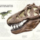 Dinosaurs and other Prehistoric Life