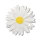 Cut-Leaf Daisy Mini Brooch