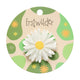 Cut-Leaf Daisy Mini Brooch