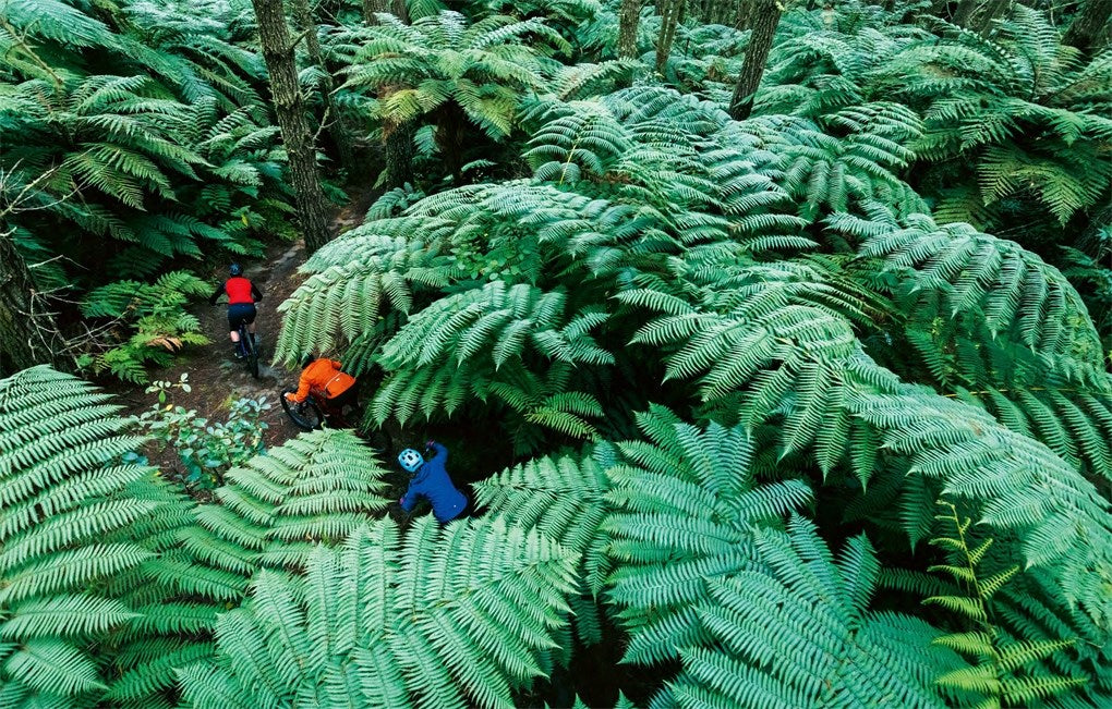 Eden: A Portrait of Mountain Biking in Aotearoa New Zealand
