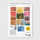 Emily Kam Kngwarray Wall Calendar 2027