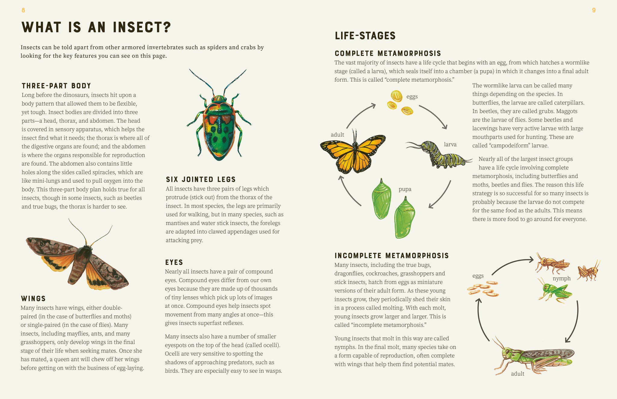 Encyclopedia of Insects