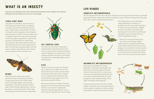 Encyclopedia of Insects