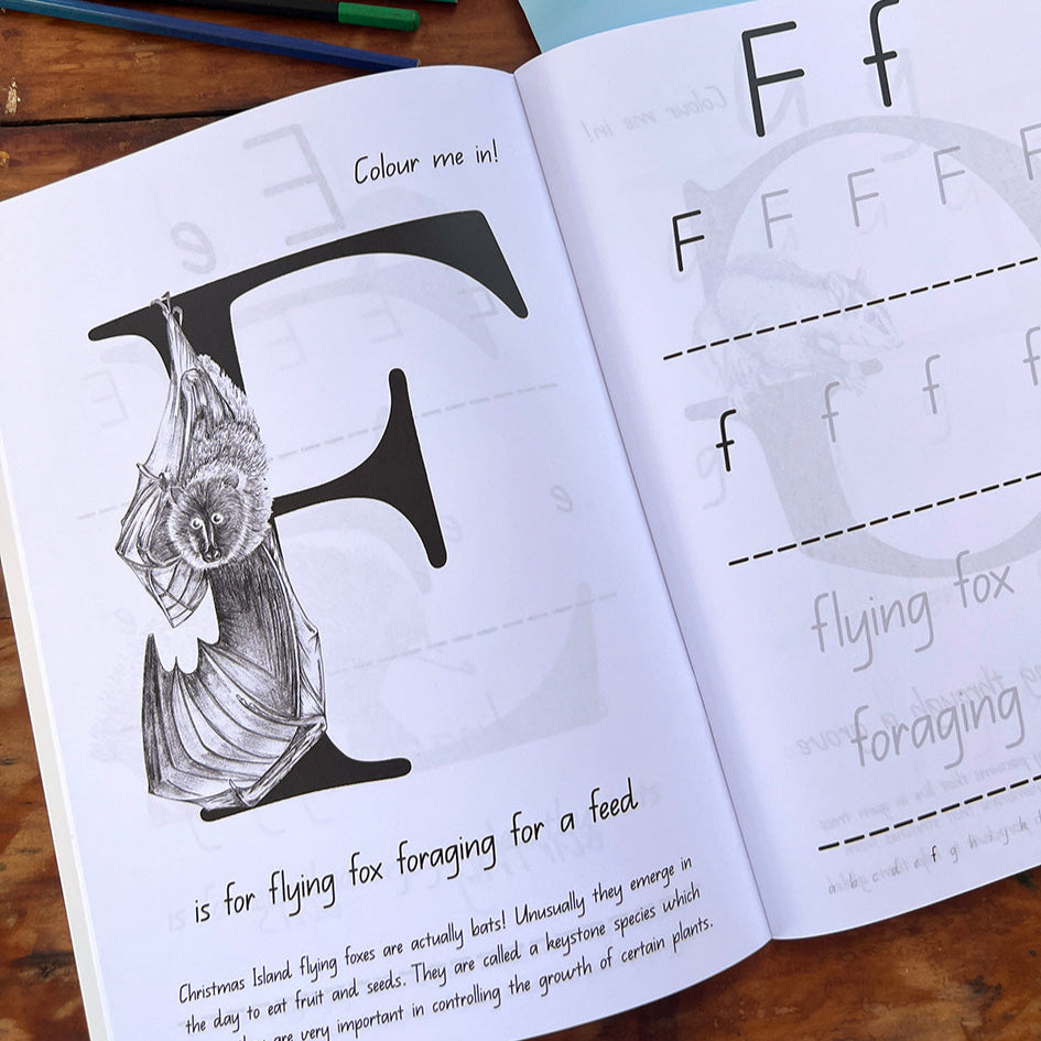 Wonderfully Wild: Australian Animal Alphabet Early Learning Workbook