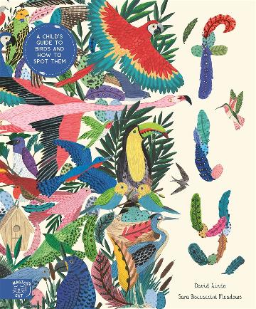 Fly: A Child's Guide to Birds