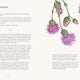 Folklore of Wildflowers