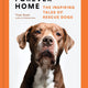 Forever Home: The Inspiring Tales of Rescue Dogs