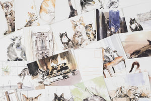 For the Love of Cats: 25 Postcards