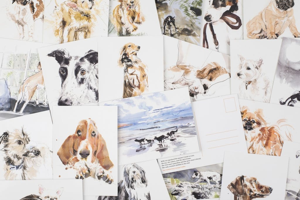 For the Love of Dogs: 25 Postcards