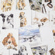 For the Love of Dogs: 25 Postcards