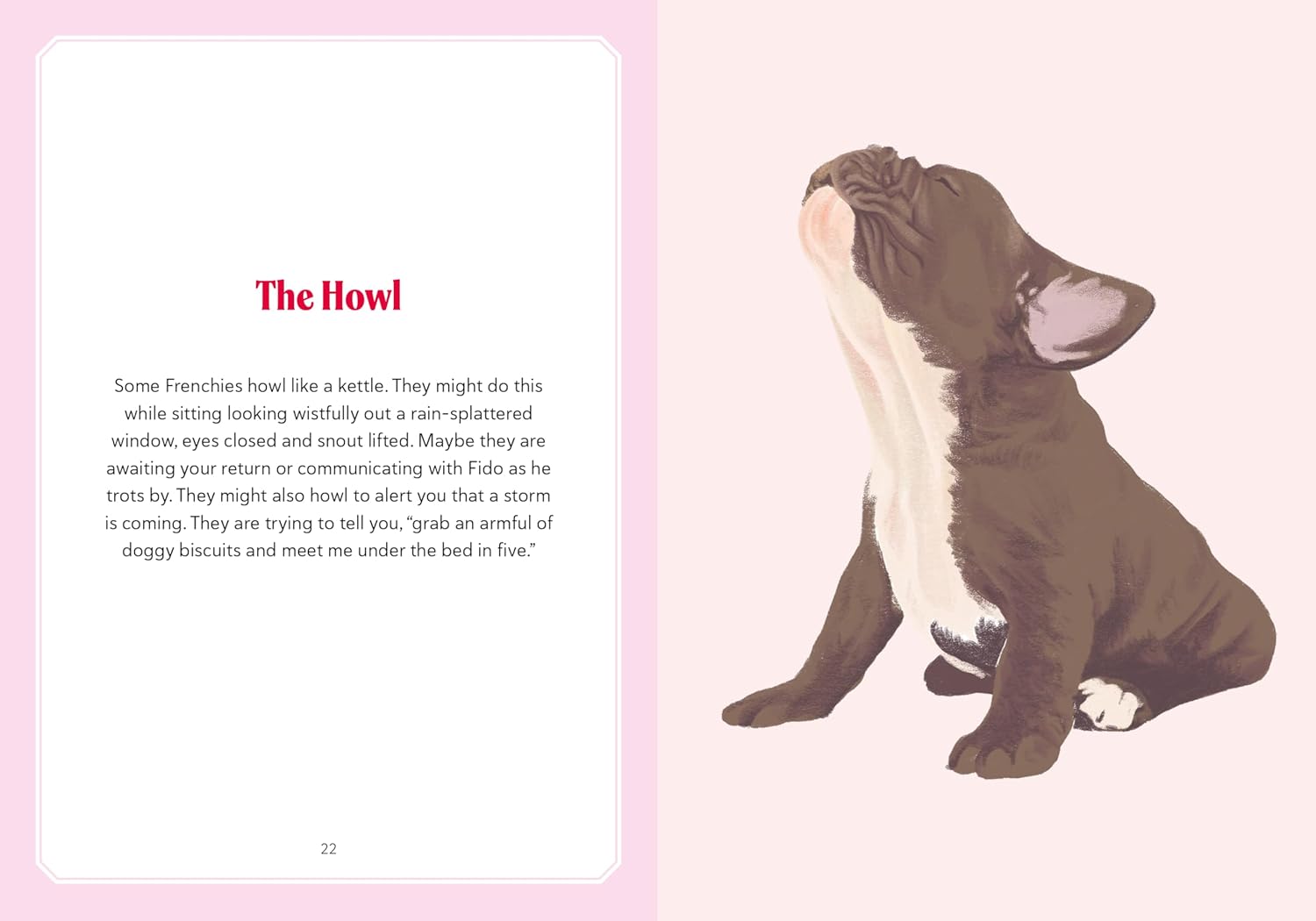 A Frenchie Life: What to Know and Love About the French Bulldog