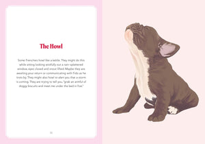 A Frenchie Life: What to Know and Love About the French Bulldog