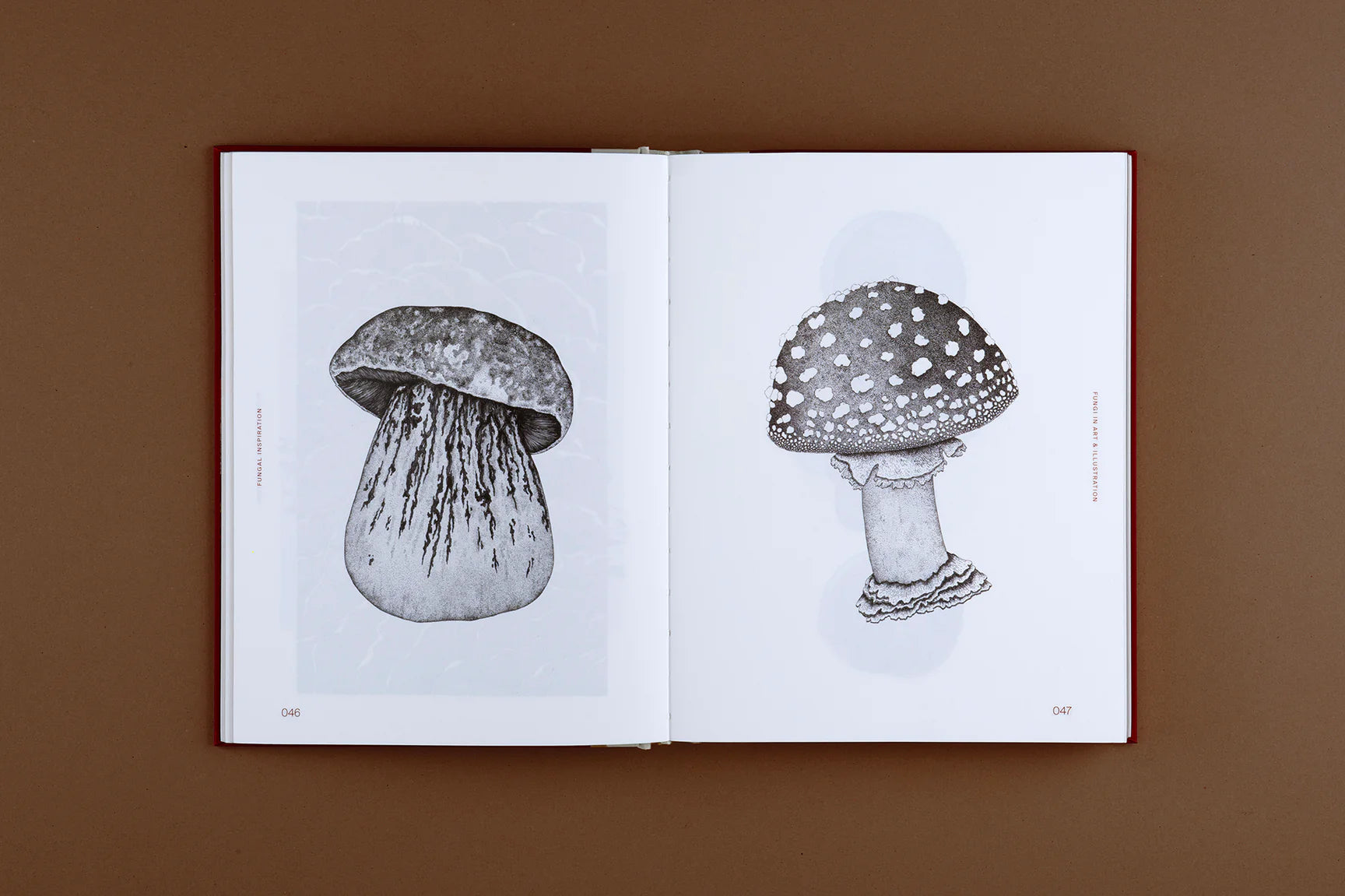 Fungal Inspiration: Art and Illustration Inspired by Wild Nature