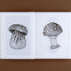 Fungal Inspiration: Art and Illustration Inspired by Wild Nature