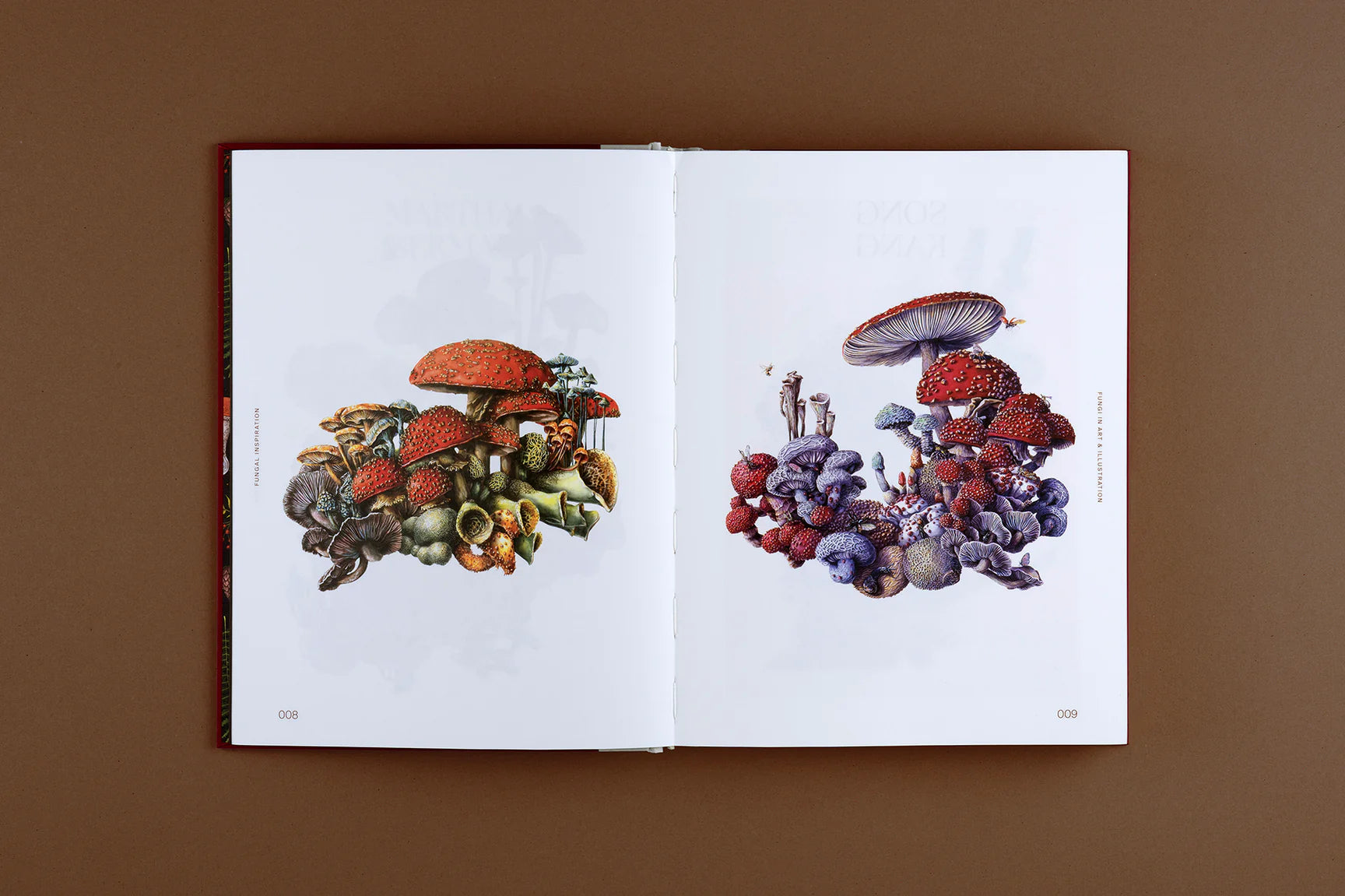 Fungal Inspiration: Art and Illustration Inspired by Wild Nature