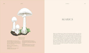 Fungi: Discover the Science and Secrets Behind the World of Mushrooms