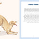Golden Life: What to Know and Love about the Golden Retriever