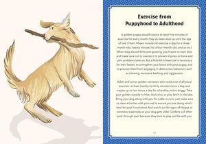 Golden Life: What to Know and Love about the Golden Retriever